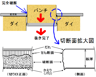 切断面の模式図（断面図）ダレ、せん断面、破断面、バリ